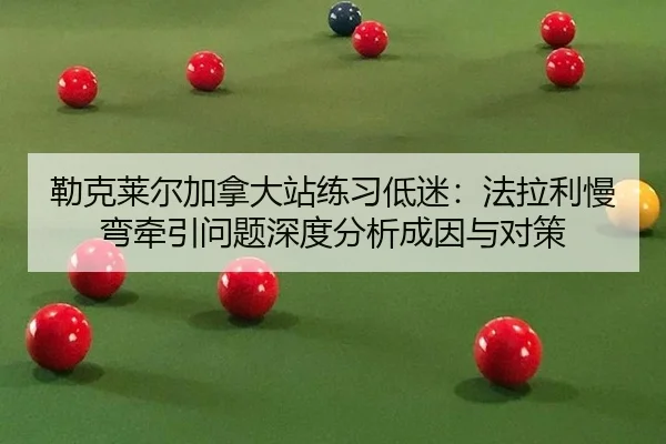 lei-ke-lai-er-jia-na-da-zhan-lian-xi-di-mi-fa-la-li-man-wan-qian-yin-wen-ti-shen-du-fen-xi-cheng-yin-yu-dui-ce-2-382.jpg
