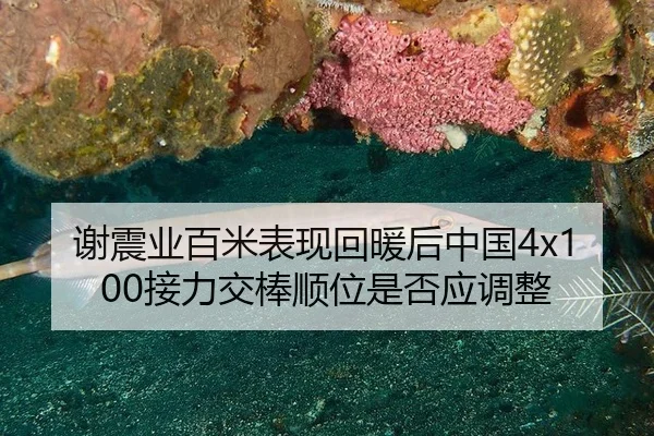谢震业百米表现回暖后中国4x100接力交棒顺位是否应调整