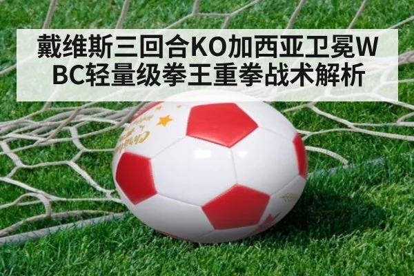 戴维斯三回合KO加西亚卫冕WBC轻量级拳王重拳战术解析