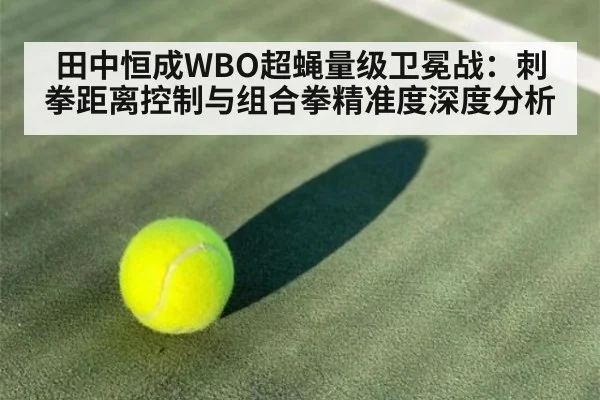 田中恒成WBO超蝇量级卫冕战：刺拳距离控制与组合拳精准度深度分析
